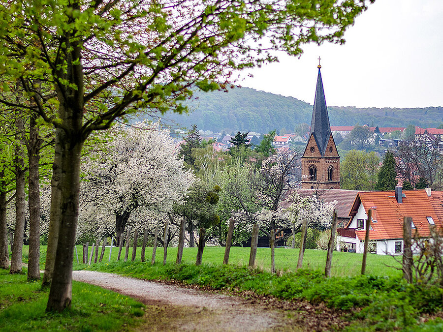 Blick auf die Marienkirche in Ilsenburg im Harz