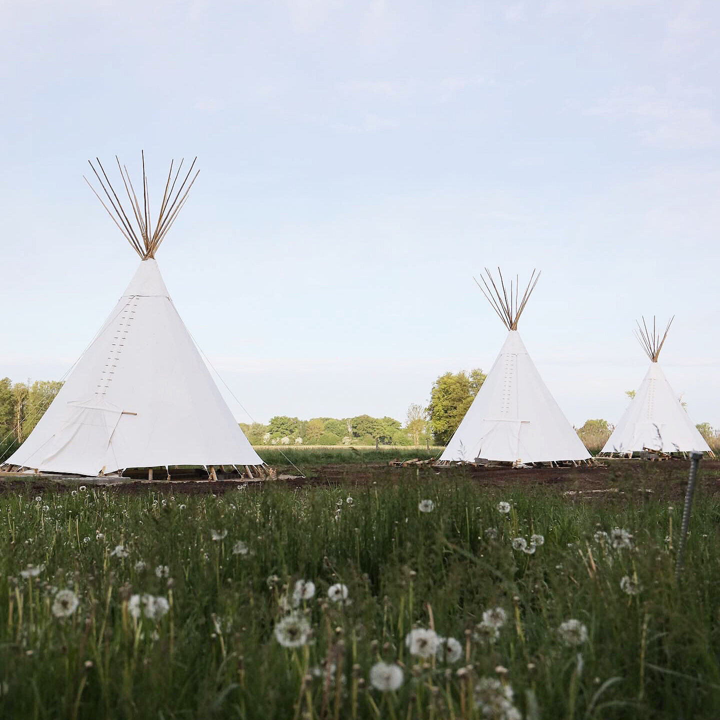 Eine Landpartie der anderen Art ausprobieren