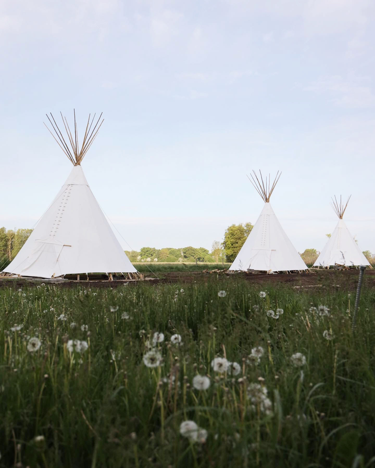 Exploring Innovation Beyond the City